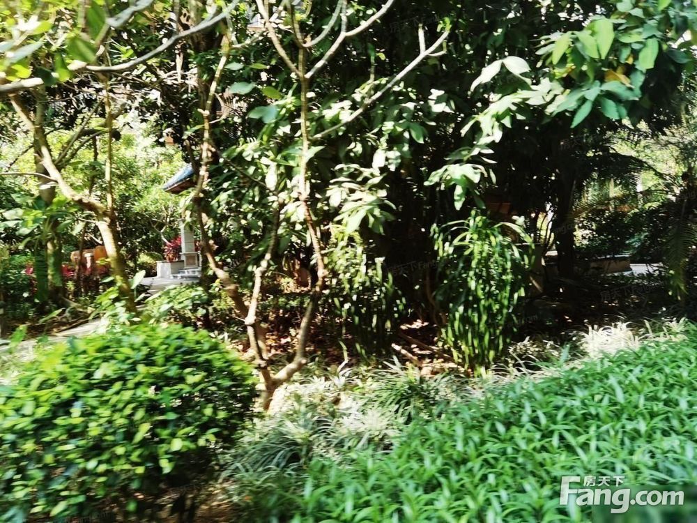 小区相关图